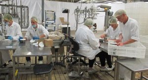 L’an II de La Fabrique du Sud