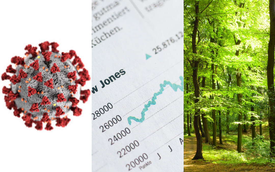 Coronavirus, capitalisme et décroissance